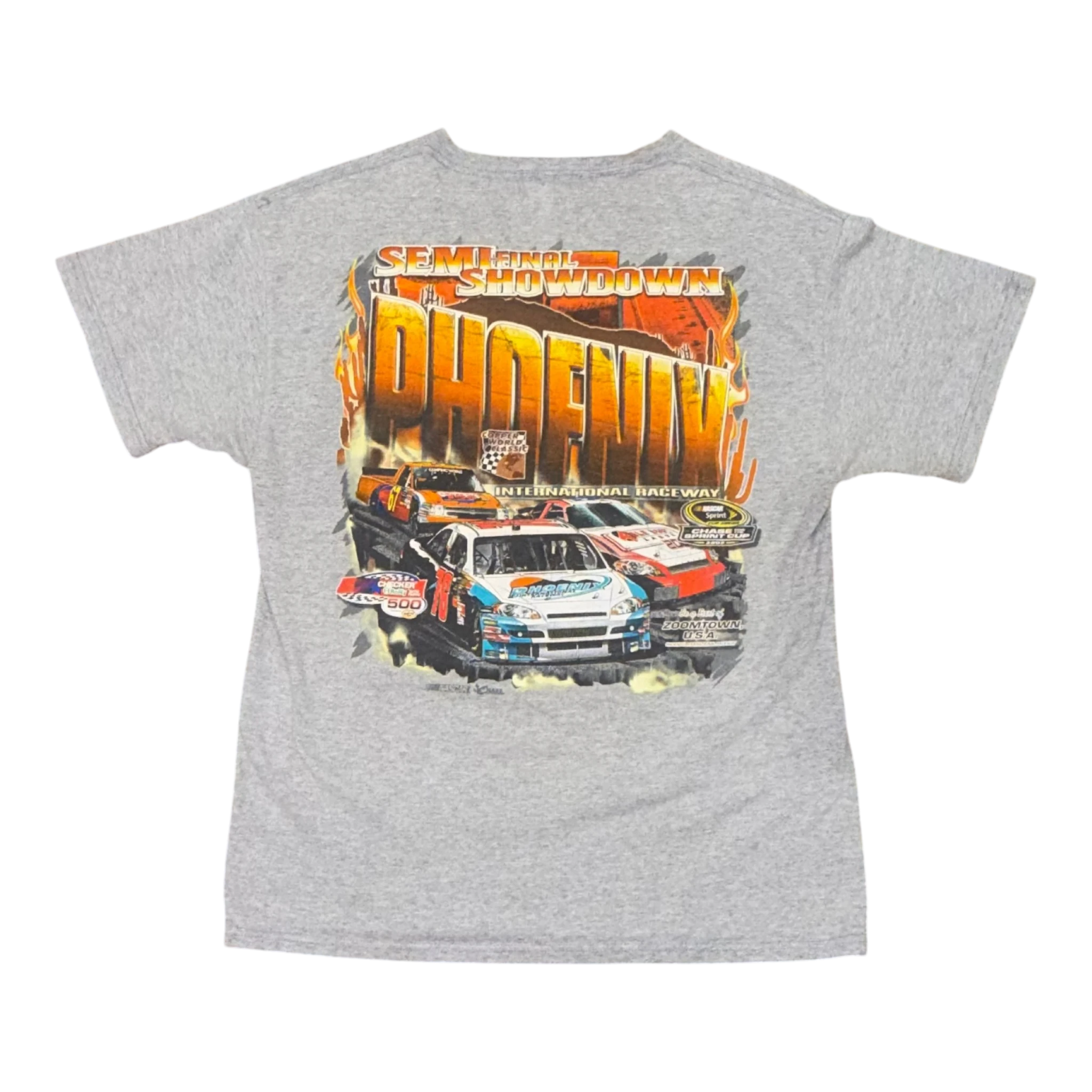 Phoenix Car Tee M