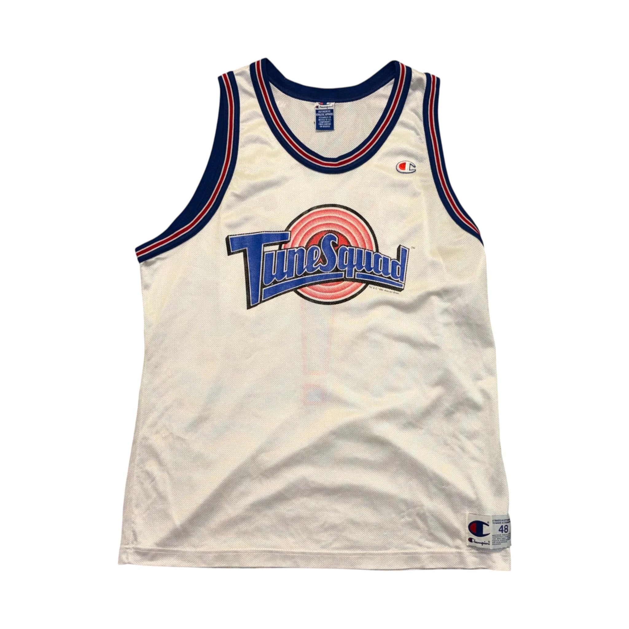 Tune Squad Taz NBA Jersey L