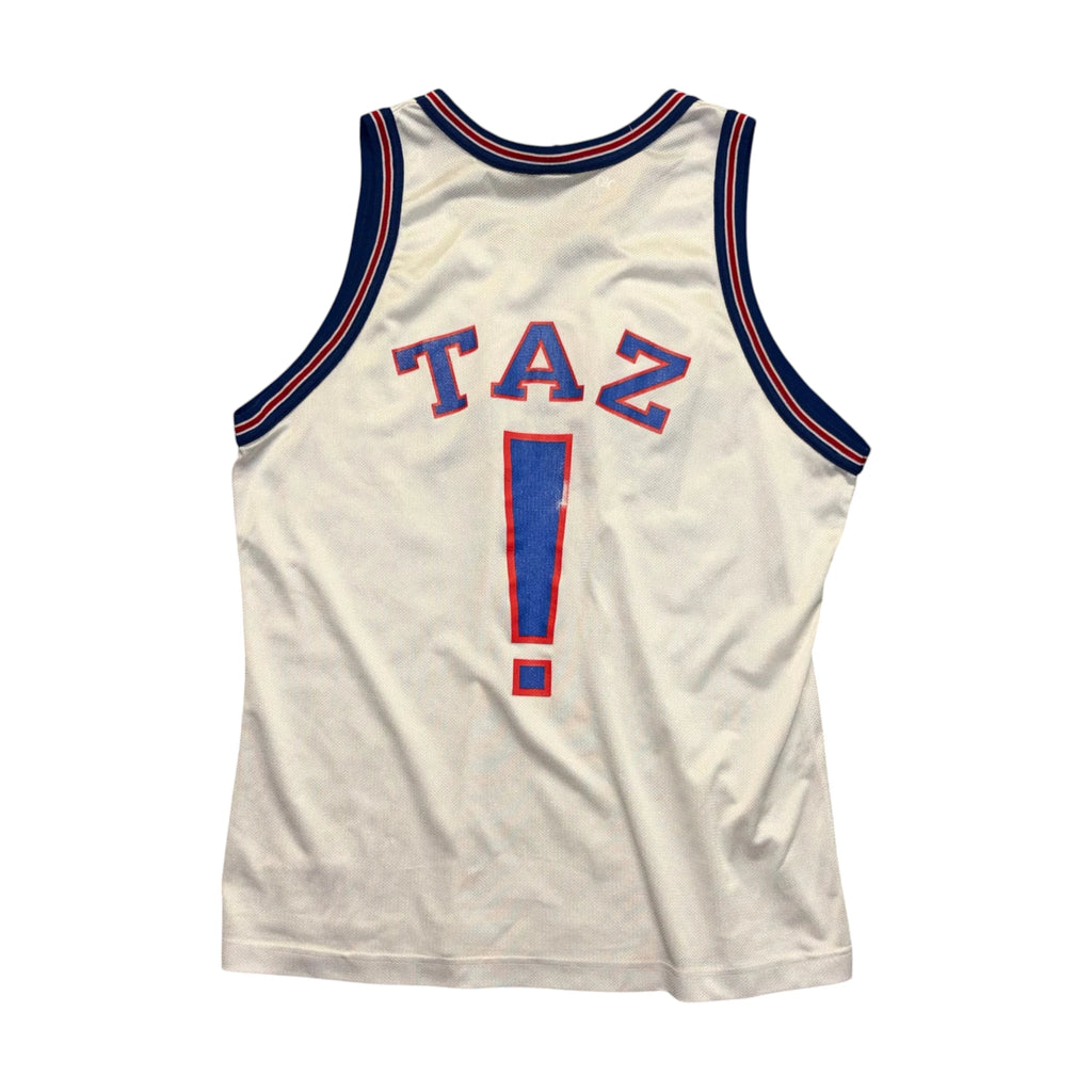 Tune Squad Taz NBA Jersey L