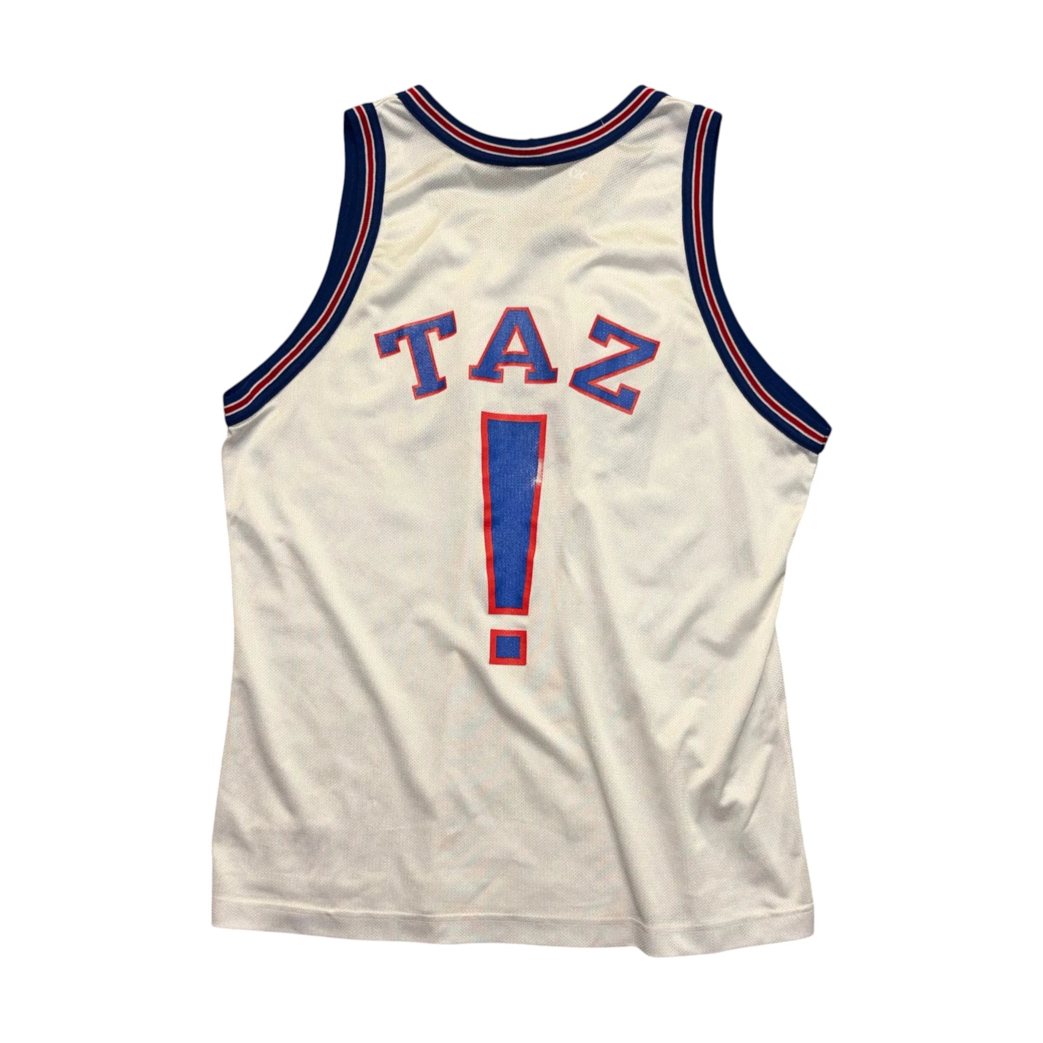 Tune Squad Taz NBA Jersey L